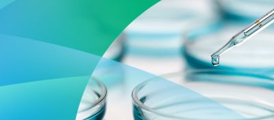 Zhengguang Biopharmaceutical Resins, the Precision "Catcher" for Drug Extraction and Purification